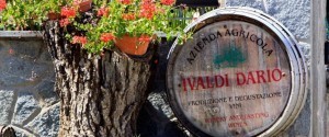 Produzione e Degustazione Vini